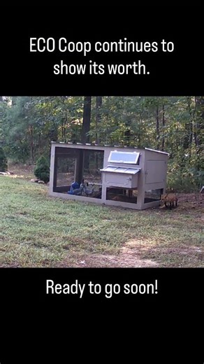8.9K views · 746 reactions | The new ECO Coop from Carolina Coops continues to show us how awesome of a coop it really is. We are so close to finally releasing this wonderful coop to the market. Let us know your questions down below. | Carolina Coops | Facebook