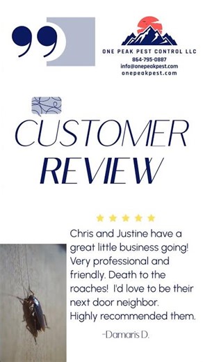 Roach Control in Anderson SC | 5-Star Review
