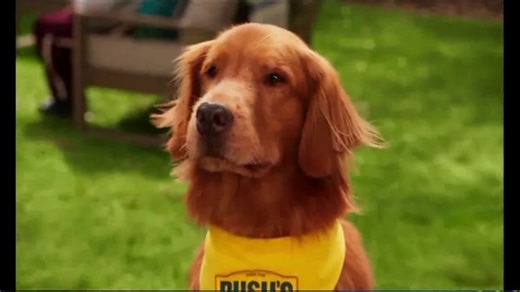 Bush's Best Grillin' Beans TV Spot, 'Barbeque'