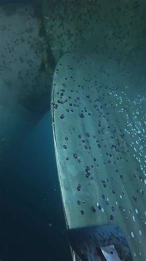 Scraping Barnacles Off a Ship's Propeller