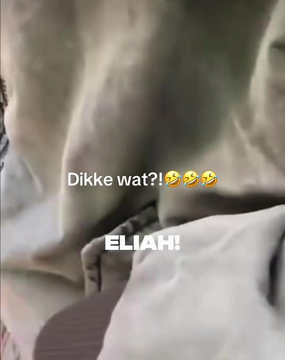 Dikke kanstanjes in het bos