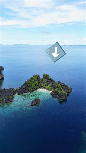 Indonesia Negara Kepulauan Terbesar di Dunia Dengan Ribuan Pulau Indah dan Orangutan 😱🌴🐒