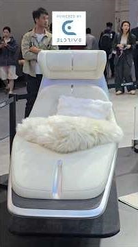 The car without a steering wheel. Exceed RoboTaxi concept.