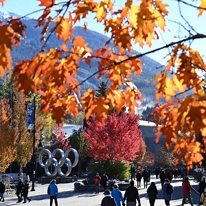 19 reactions | Planning to spend your holiday in Canada? Watch this...