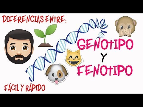 🔬Genotype and Phenotype👀 DIFFERENCES [Easy and Fast] | BIOLOGY |