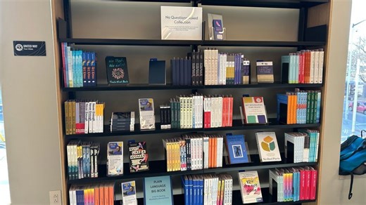 Appleton Public Library's new 'No Questions Asked' collection for addiction, mental health