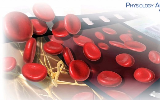 【3D演示】解剖与生理学动画（原版 字幕版）