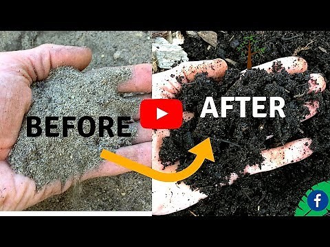 5 TIPS FOR BUILDING PERFECT HEALTHY SOIL FOR FREE
