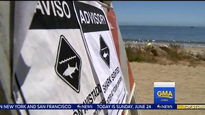112K views · 295 reactions | Shark warnings as summer starts; several sightings in Monterey Bay: https://abcn.ws/2thtZZJ Marci Gonzalez has the details. | Good Morning America | Facebook