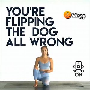 1.6K views · 85 reactions | How do you flip your dog right? Watch...