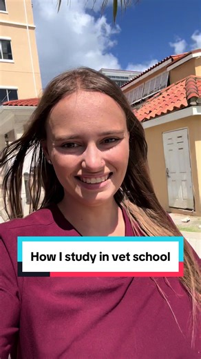 How I studied as a veterinary student to make deans list in my first semester! This is what worked for me and I wanted to share in case it helped others. However, what works for me may not work for you and you’ll have to play around and figure out what’s best for you! On the day of a lecture: 1) go over lecture notes. clean them up and go slide my slide to make sure I comprehend every concept. 2) make a summary sheet for each lecture 3) simple recall to end the night and review On weekends: 1) w