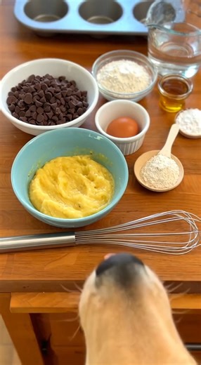 🐶🍌 Amazing Carob Banana Muffins – Recipe for Dogs These soft, bakery-style muffins combine naturally sweet banana with dog-safe carob for a treat that feels special but stays pup-friendly. Perfect for celebrations or an occasional homemade reward. Prep Time: 10 minutes Cook Time: 25 minutes Total Time: 35 minutes Servings: 12 small muffins Course: Treats Cuisine: Dog-Friendly Equipment: Muffin tin Mixing bowl Wire rack Ingredients: 1/3 cup (60 g) carob chips (dog-safe, unsweetened) 1 large egg
