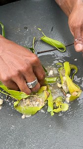 1M views · 4.3K reactions | This is the PITCHER PLANT, a plant thant absorbs gold arounds it . #gold #pitcherplant #goldhunter #goldenplant #goldprospecting | Yudi Putra Gold | Facebook