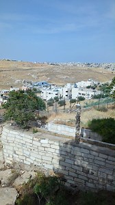 3K views · 395 reactions | The ‘Shepherds’ Field’ is where the angel first announced on Jesus’ birth (Luke 2:7). It is also identified with the ‘Field of Boaz’, a wheat field of a landlord named Boaz. Here Ruth met Boaz while picking barley left by the harvesters. #Jesus #Bethlehem #shepherdsfield #ruthandboaz | Pastor Aries Paduga - The Travelling Preacher in Israel | Facebook