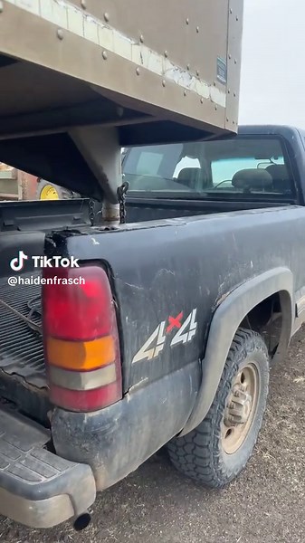 Appreciating Old Farm Trucks: Reliable Workhorses