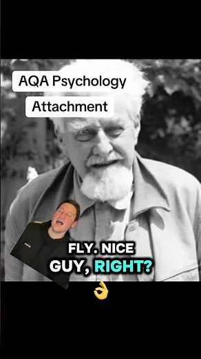 Attachment - AQA A Level Psychology