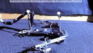 Meet Flipperbot, the Amphibious Robot