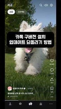 How to cancel and revert the old version of KakaoTalk KakaoTalk update