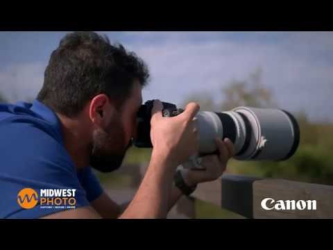 The Canon 90D - Incredibly fast. Amazingly Sharp. Perfect for bird photography!