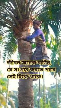 গ্রাম্য বাংলার প্রকৃতি #শীতকালের সেরা দৃশ্য #bangla #shortvideo