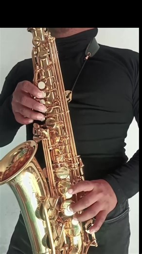 Otra Navidad sin tí. 🎄❤️‍🩹 #Navidad #navidad_sin_ti #tutorial #saxophone🎷 #sax