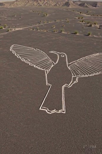 Nazca Lines: Ritual Paths Etched Into the Desert#NazcaLines #AncientPeru #Archaeology