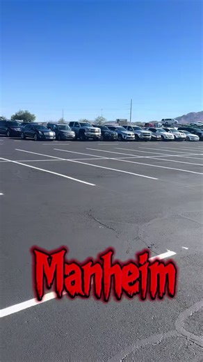 Manheim Auction! Dealer Only! #auctionaccess #tiktok #carsoftiktok #manheim #wholesalers