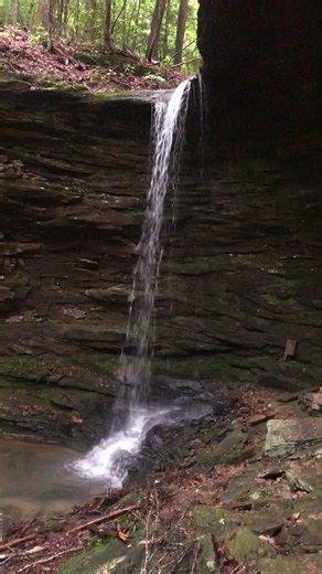 Unnamed Falls hiking the Sipsey Wilderness, AL. #hiking #waterfall #hikingadventures #forest #asmr