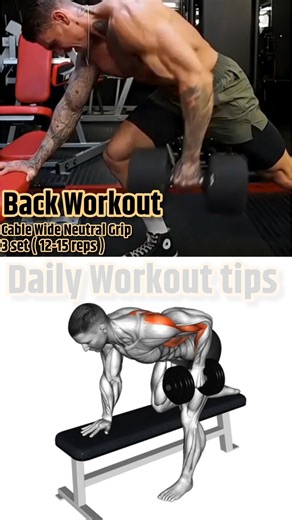 Muscular Back Exercises