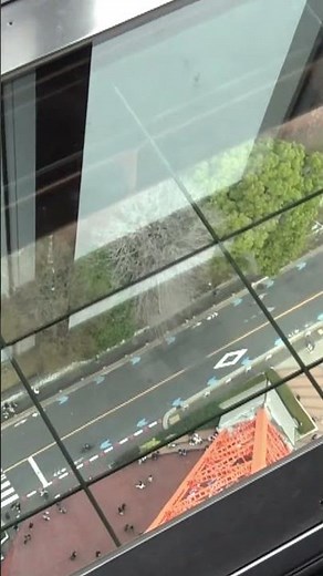 The "Sky Walk Window" at Tokyo Tower: Look straight down at the ground like a real-time satellite...