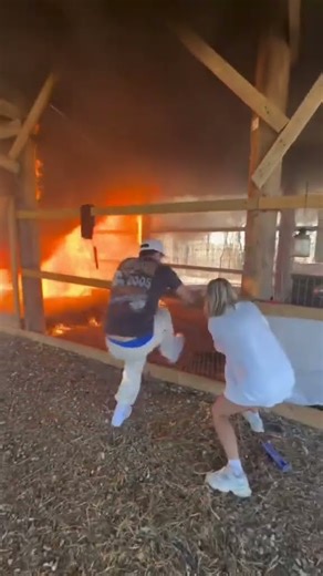 Consiguieron salvarlos a todos #funny #viral