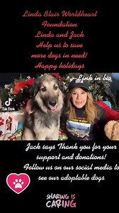 31 reactions · 11 shares | Thank you all for supporting us on #GivingTuesday2021! Our fundraiser runs until Sunday if anyone would like still like to make a donation. We appreciate every dollar. Thank you for helping us to save lives! | The Linda Blair WorldHeart Foundation | Facebook