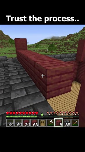 Minecraft Expectation vs Reality