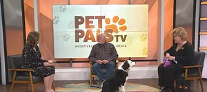 Pet Pals TV: Clancy's Dream Border Collie Rescue