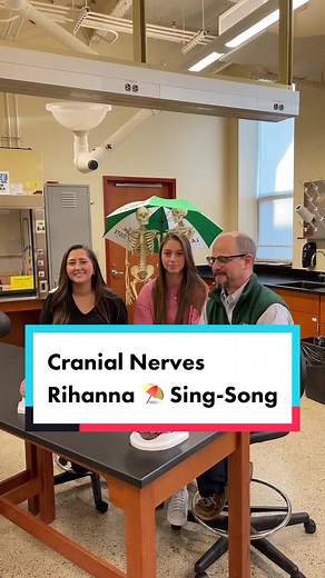 Cranial Nerves Anatomy: Understanding the Muscles of the Tongue