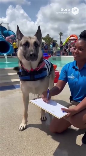 Silk is a water slide tester!