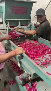 Rose leaf cleaning distoner machine 📲 91 88716 86000 | Punjab Engineering Corporation