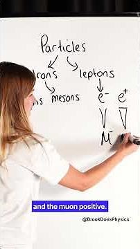 Everything You Need To Know About Particles