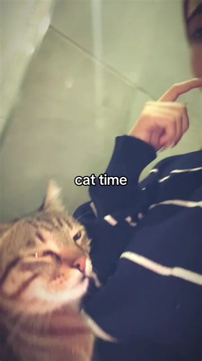 kedim sadece tuvalette kucagina gelio napim