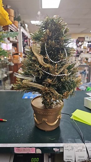 ✨🎄 Watch the magic spin to life! This fiber optic Christmas tree twirls and shimmers with glowing color — no ornaments needed. It’s holiday cheer on repeat, and it’s absolutely mesmerizing in person! #DejaVuFinds #ChristmasMagic #FiberOpticTree #HolidayGlow | Deja Vu Furniture and Accessories