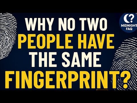 Why No Two People Have the Same Fingerprint ?