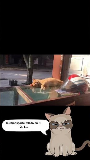 Teletransporte fallido en 3, 2, 1...