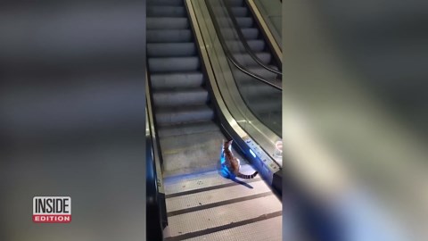 Cat Tries and Fails to Walk Up Descending Escalator