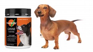 445 reactions · 116 shares | Would you like your dog to be pain free?...