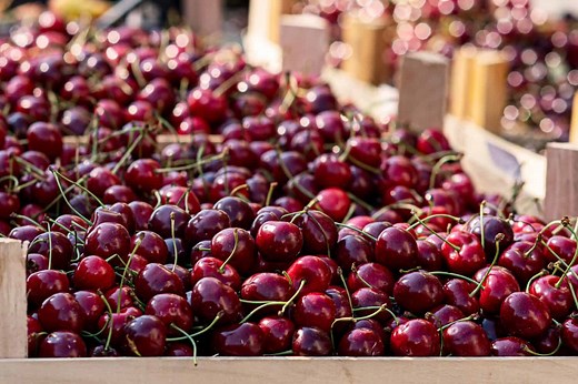 The 6 U.S. States That Grow the Most Cherries