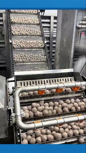 Meatball Production Line: From Shaping to Hot Water Dipping and Conveyor Separation #foodprocessing
