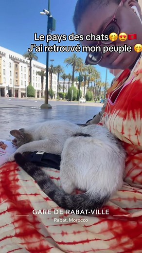 Chat s'endort sur mes pieds — moment mignon avec un chat inconnu