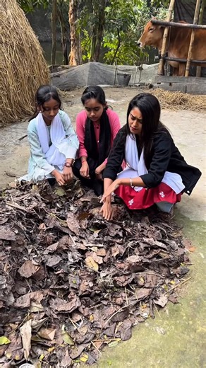 Popy Halder(Pops) on Instagram: "Happy new year 🥳 #reelsinstagram"