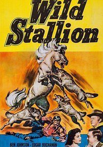 Wild Stallion streaming: where to watch online?