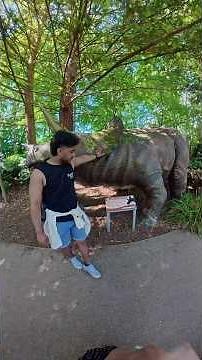 Amazing Day at Blackpool Zoo 🦁 | Lions, Tigers & More!"